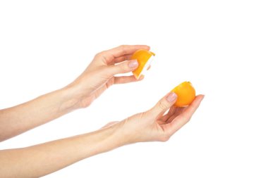 Beyaz arka planda izole edilmiş ellerde olgun sarı domatesler. Yüksek kalite fotoğraf