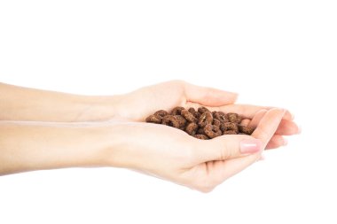 Çikolata halkaları eldir. Hızlı kahvaltı. Beyaz arka planda izole edilmiş. Yüksek kalite fotoğraf