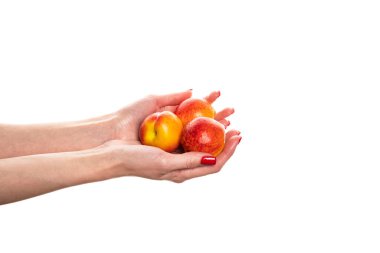 Nektarin tutan bir kadın, beyaz bir arka plan. Yüksek kalite fotoğraf