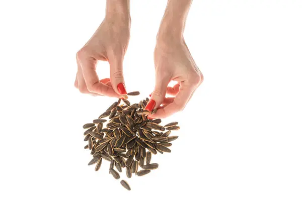 stock image Female hand sunflower seeds on a white background isolation. High quality photo