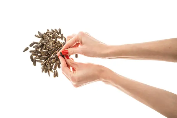 stock image Female hand sunflower seeds on a white background isolation. High quality photo