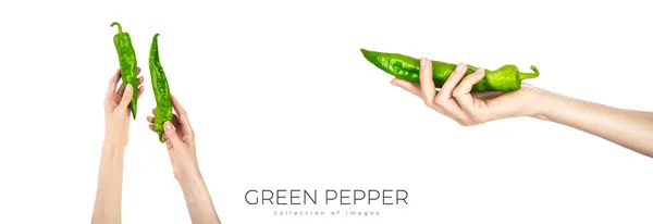 stock image Green chili pepper in female hand isolated on white background. High quality photo