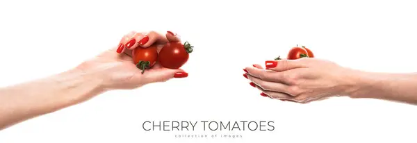 stock image Hand with cherry tomatoes isolated on a white background. High quality photo