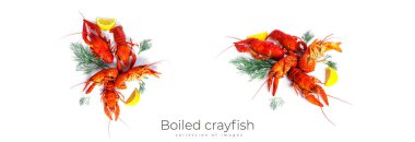 Dereotlu ve limonlu haşlanmış kerevit, beyaz arka planda izole edilmiş. Yüksek kalite fotoğraf