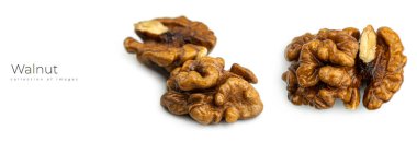 Beyaz arka planda ceviz. Yüksek kalite fotoğraf