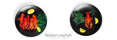 Dereotlu ve limonlu haşlanmış kerevit, beyaz arka planda izole edilmiş. Yüksek kalite fotoğraf