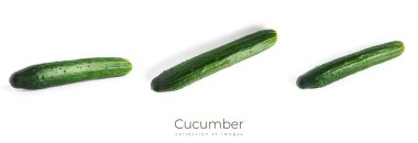 Salatalık beyaz arka planda izole edilmiş. Salatalıklar izole edilmiş. Yüksek kalite fotoğraf