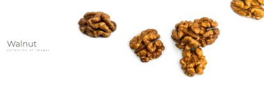 Beyaz arka planda ceviz. Yüksek kalite fotoğraf