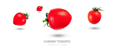 Beyaz üzerine izole edilmiş kiraz domatesi. Yüksek kalite fotoğraf