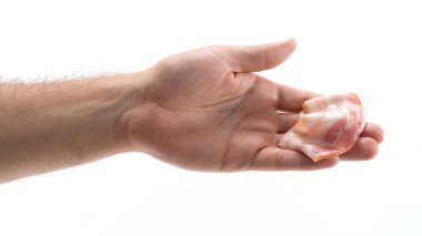 Bir el nazikçe parlak ve çiğ görünen bir parça taze deniz ürününü tutar. Arka plan sade, deniz ürünleri ürününün karmaşık detaylarını vurguluyor..