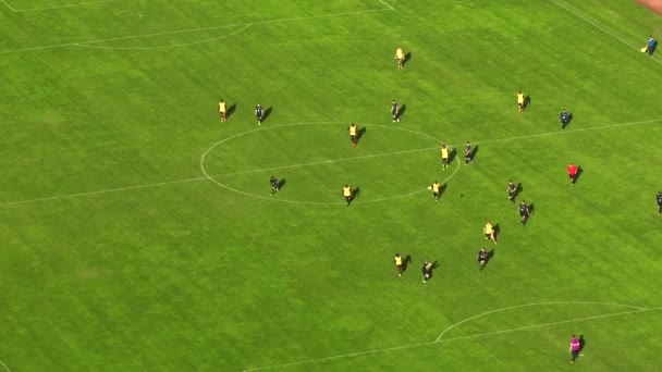 カメラは プロが走り 競い合う緑のサッカー場を飛び越えていきます パララックス効果のあるドローンから撮影されたサッカーの試合 — ストック動画