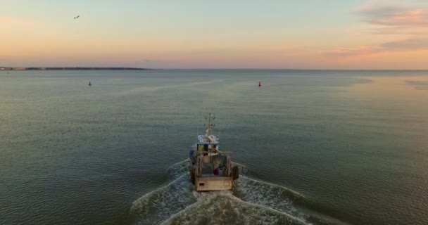 Fischerboot Mit Großen Fang Luftbild Drohne Sonnenuntergang Kleines Schiff Schwimmt — Stockvideo