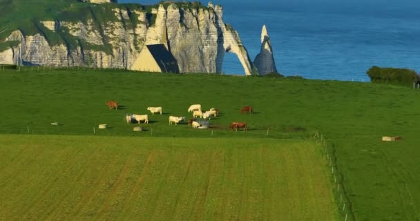 Zřízení Záběru Krásné Skalnaté Pobřeží Atlantického Oceánu Francii Při Západu — Stock video
