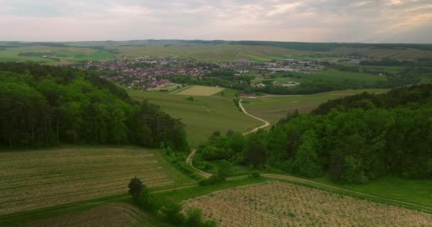 Chablis Este Comună Departamentul Yonne Din Regiunea Franche Comte Burgundia — Videoclip de stoc