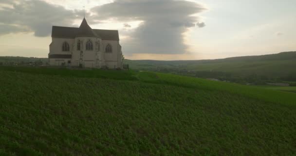 Vineyard Landscape Vineyard France Champagne Aerial Drone Shot Sunny Vineyard — Stock Video