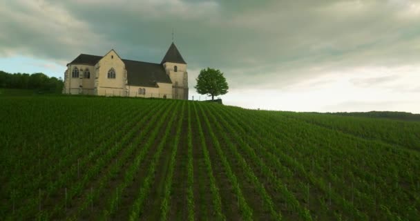 Drone Survole Des Vignobles Verts Production Vin Partir Raisins France — Video