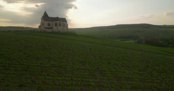 ドローンは緑のブドウ畑を飛び越える フランスのブドウからワインの生産 ブドウ畑の空撮映像 美しいブドウ畑 田舎の美しいブドウ畑の空中ドローン映像 — ストック動画