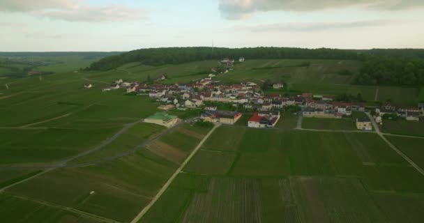 Szőlőültetvény Táj Francia Szőlő Pezsgő Napkeltekor Egy Drónfelvétel Napos Szőlőskertről — Stock videók