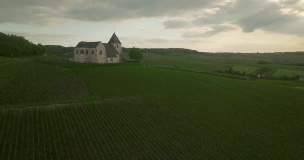 Drone Sorvola Verdi Vigneti Produzione Vino Uve Francia Filmato Aereo — Video Stock