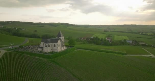 Dron Lítá Nad Zelenými Vinicemi Výroba Vína Hroznů Francii Filmové — Stock video