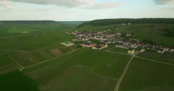 Paisagem Vinícola Vinha França Champanhe Aerial Drone Shot Vinhedo Ensolarado — Vídeo de Stock