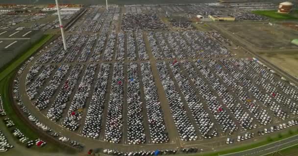 Górny Widok Lotu Ptaka Nowe Samochody Parking Sprzedaż Rząd Partii — Wideo stockowe