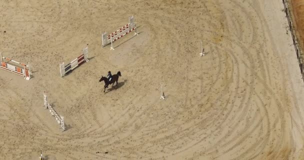 Jockey Cavalo Correndo Torno Uma Pista Terra Pôr Sol Desporto — Vídeo de Stock