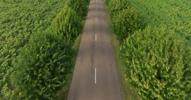 Vista Aérea Eléctrica Dron Cinematográfico Volando Sobre Carretera Con Árboles — Vídeo de stock