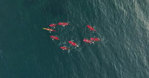 Aerial View Kayakers Paddling Shallow Transparent Waters France Top Drone — Stock Video