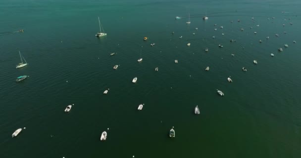 Widok Lotu Ptaka Jachty Przystań Słoneczny Dzień Wiele Jachtów Żaglówek — Wideo stockowe