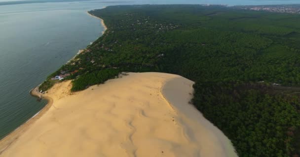 Luftaufnahme Farbkontrast Zwischen Grüner Vegetation Und Weißen Dünen Von Pilat — Stockvideo