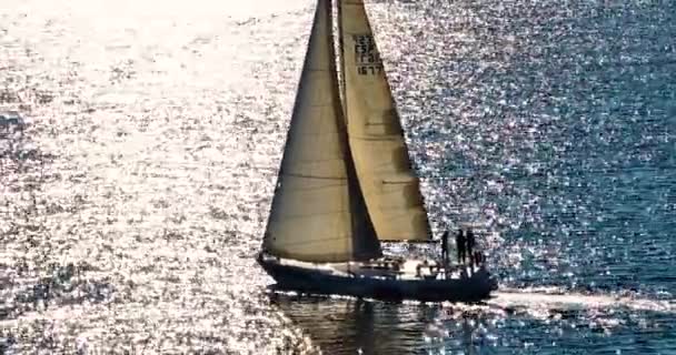 空中风景 游艇在海上迎风航行 在海洋湾 阳光照射在白帆上 — 图库视频影像