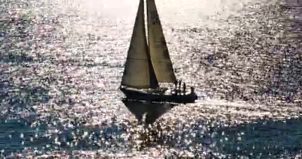 空中风景 游艇在海上迎风航行 在海洋湾 阳光照射在白帆上 — 图库视频影像