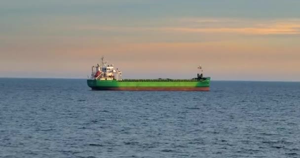 Kikötőbe Való Belépésre Váró Tengeren Horgonyzott Ömlesztettáru Szállító Tengeri Hajó — Stock videók