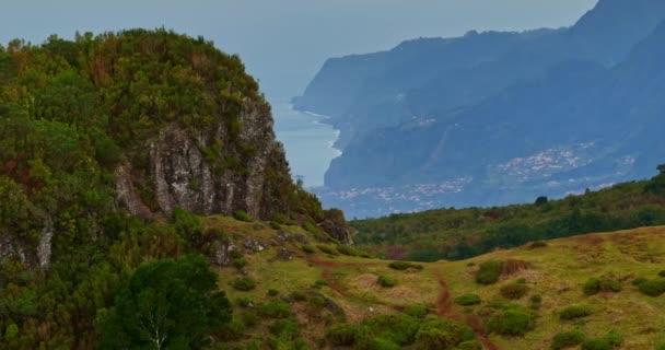 Letecký Pohled Úžasný Mystický Les Fanal Ostrově Madeira Portugalsko — Stock video