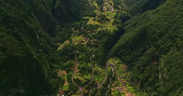 Smuk Grøn Dal Madeira Portugal Luftdrone Udsigt Luftfoto Regnskov Smuk – Stock-video