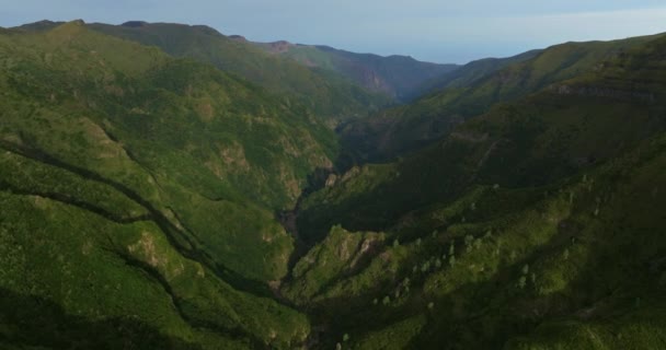 Widok Lotu Ptaka Region Lasu Lato Sezon Wycieczkę Natury Naturalne — Wideo stockowe