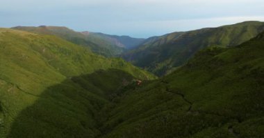 Kayalık dağların yoğun yeşil ağaçlarla kaplı olduğu vahşi doğa tropikal adası. Birçok ağacı olan modern ve ekolojik yeşil alanlar. Madeira adasının havadan çekilmiş görüntüsü..