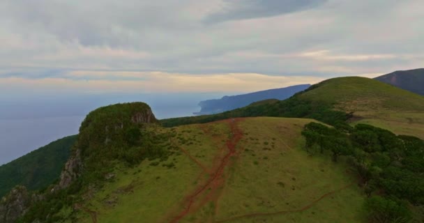 Uitzicht Vanuit Lucht Het Verbazingwekkende Mystieke Bos Fanal Madeira Eiland — Stockvideo