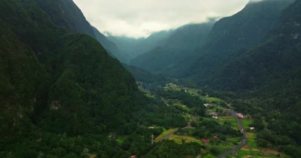 Scenic Groene Vallei Madeira Portugal Luchtfoto Drone Uitzicht Luchtfoto Van — Stockvideo