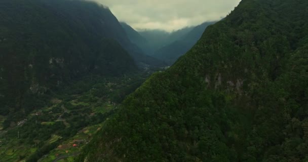 Natursköna Gröna Dalen Madeira Portugals Flygdrönarutsikt Flygfoto Regnskog Vacker Grön — Stockvideo
