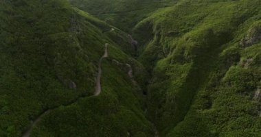 Yaz mevsiminde doğa gezisi için orman ağacı bölgesinde hava manzarası doğa yürüyüşü ve keyifli sakin bir yolculuk. Madeira adasının saf doğa ortamı.