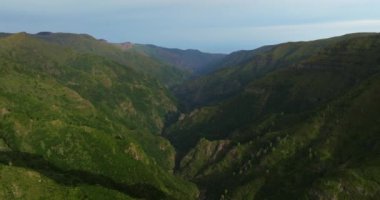 Kayalık dağların yoğun yeşil ağaçlarla kaplı olduğu vahşi doğa tropikal adası. Birçok ağacı olan modern ve ekolojik yeşil alanlar. Madeira adasının havadan çekilmiş görüntüsü..