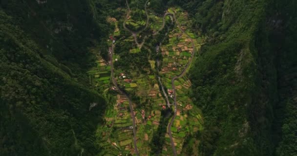 Escénico Valle Verde Madeira Portugal Vista Aérea Del Dron Vista — Vídeo de stock