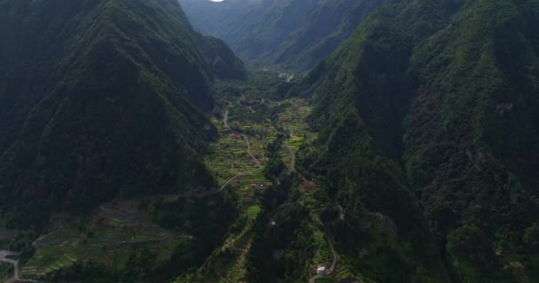 Escénico Valle Verde Madeira Portugal Vista Aérea Del Dron Vista — Vídeo de stock