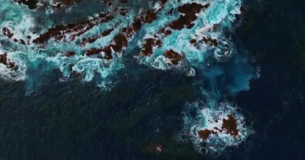 Aerial View Porto Moniz Town Madeira Island Atlantic Ocean Place — Αρχείο Βίντεο