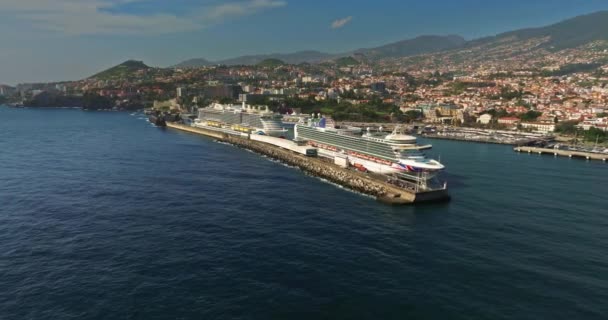 Vista Aérea Marina Funchal Porto Funchal Docas Cruzeiros Atlânticos Ilha — Vídeo de Stock