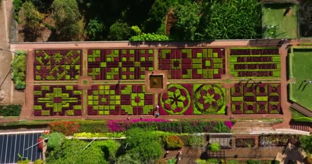 Vista Aérea Jardim Botânico Funchal Madeira Tapete Flores Plantas Criado — Vídeo de Stock