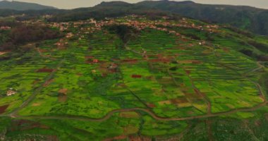 Kırsal alanlarda uçan insansız hava aracı, dağların manzarası ve tropikal tarım arazileri, tarım konsepti, tarım endüstrisi. Madeira, Portekiz.