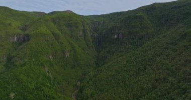 Kayalık dağların yoğun yeşil ağaçlarla kaplı olduğu vahşi doğa tropikal adası. Birçok ağacı olan modern ve ekolojik yeşil alanlar. Madeira adasının havadan çekilmiş görüntüsü..